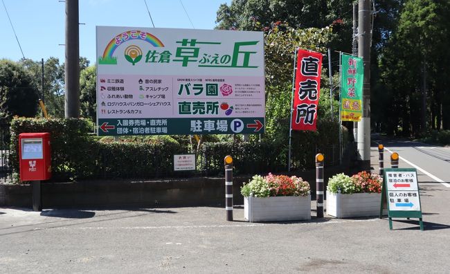 佐倉市散策 ５ 崖の上のヤギ ポニョ に会いに 佐倉草ぶえの丘を訪ねます 佐倉 四街道 千葉県 の旅行記 ブログ By Yamajiさん フォートラベル