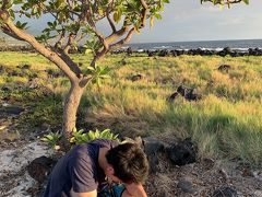 無事にチェックインも済んだのでシュノーケルでもしようかと海に来たけど、もう夕暮れ近くで海も冷たくて断念。
オールドコナエアポートでサンセットを見ることに。

旅行３日目にして疲労がたまってきている旦那。三十路。