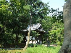 旧天瑞寺寿塔覆堂(重要文化財)。
天正19(1591)年、豊臣秀吉が病気から快復した母・大政所の長寿を祈って建てた、生前墓の寿塔を覆っていた建物です。桃山時代らしい豪壮な彫刻や、柱とその上の組物などにはかつて鮮やかな彩色が施されていましたが、現在は風化して一部に痕跡を残すのみとなっています。
この覆堂が在った天瑞寺は大徳寺内の寺院の一つでしたが、明治時代の始めに廃寺となり現在は存在していません
三溪園への移築は明治38年・1905年のことで、原三溪が内苑に移築した最初の古建築です