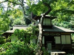 聴秋閣(重要文化財)。
徳川家光の上洛に際し、元和９(1623)年に二条城内に建てられ、後に家光の乳母であった春日局がこれを与えられたと言われ、嫁ぎ先の稲葉家の江戸屋敷に伝えられていました。
三溪園への移築は大正11(1922)年で、これをもって三溪園は完成となりました。
意匠は、幕府の造営・修繕に関わる作事方を務めた佐久間将監によるといわれ、3つの屋根を組み合わせた外観から移築前は三笠閣と呼ばれていましたが、原三溪はこれを聴秋閣と改め、周辺を秋に紅葉を楽しむ風情としました