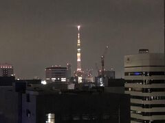 東京スカイツリーをズームします。