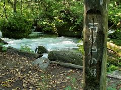 前日午後にレンタカーでちょこちょこ渓流遊歩道の様子を見ておいて決めた計画は、
始発８：00の便に乗って「石ヶ戸」から「雲井の滝」まで歩き、
9：30「雲井の滝」でシャトルバスに乗って戻る。
片道2.8㎞・所要時間60分の部分をバスの時間に合わせて80分間かけてゆっくり歩く。