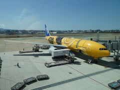 ２時間程度で福岡空港に到着。
せっかくなので、黄色の機体を撮影です。