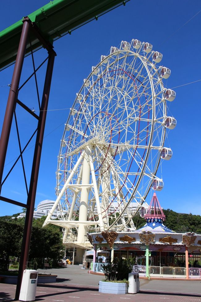 9 南紀白浜 １泊旅行 アドベンチャーワールド編 南紀白浜 和歌山県 の旅行記 ブログ By ふわっくまさん フォートラベル