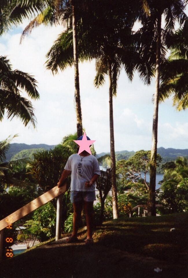 裏山に上ってみました。左下にわずかにプールが見えます。