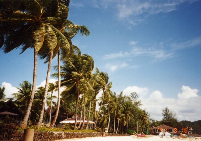 この日は海側から結構風があったみたいです。