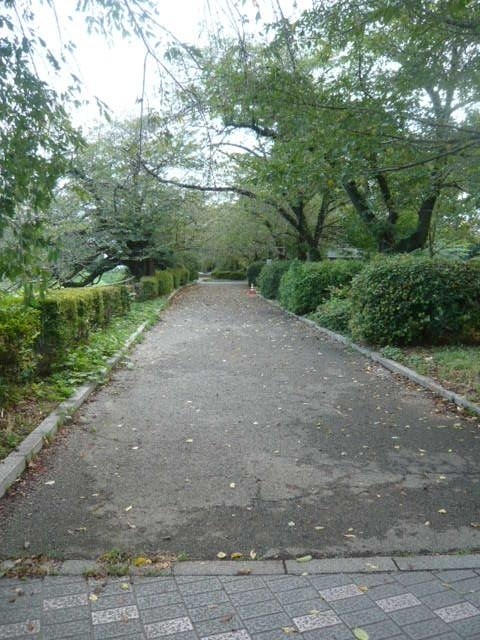 半蔵門堀の西側の小道の様子です。<br /><br />半蔵門付近から続いている公園の緑道です。<br /><br />千鳥ヶ淵緑道ボート場に向かい、移動途中の散歩道です。