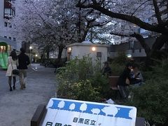 小さな公園もありました。
ここにも桜の木がありました。