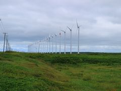 オロロンラインを北上し、天塩町の辺りから海岸線に沿って発電用の風車が目立つようになってきた。
