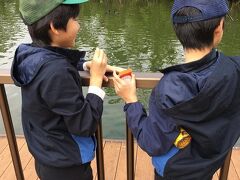 沖縄こどもの国動物園