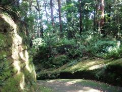 さてさて、スマホの画像をさらにほじくっていたら、2017年10月8日の神武寺周辺の画像が出てきました。