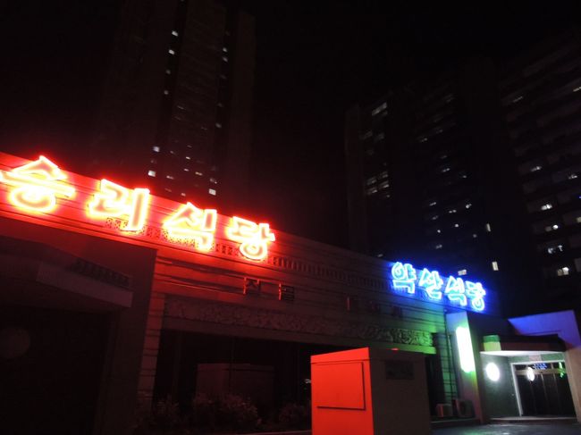 ９月は天候がいいというのが理由で訪問したので明日には回復してもらいたいものだ。ホテル周辺はライトアップされた高麗ホテルと平壌駅くらいしか目立つ建物はない。<br /><br />通りのレストランのネオンがちらほらある程度だろうか。