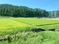 この季節の田んぼはきれい～
日本の夏って感じがする(*´Д｀)

鉄道旅、楽しい(T_T)