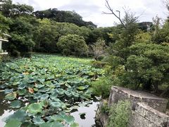 鶴岡八幡宮