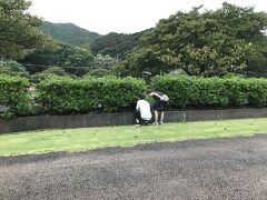 時間潰しのために道の駅でフラフラとお買い物～

南伊豆の飴屋さんのニッキ飴とあおさ海苔、乾燥カモミールを買いました。
道の駅には足湯もあるのですが、コロナで閉鎖中、、、
裏の土手になんかいるみたいです！