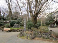 「楽寿園」
静岡県三島市が運営する公園、動物園
日本の歴史公園百選にも選ばれているそうです。