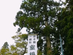 室根神社は、室根山の8合目にあります。

718年(養老２年)に鎮守府将軍大野東人が熊野神の分霊を迎えたのが起源です。
境内には千年以上の杉があり、厳かな感じです。