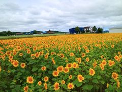 ひまわりで有名な北竜町の道の駅
ヒマワリが満開