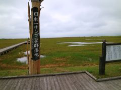 卯原内サンゴ草群生地