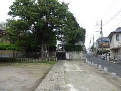 練馬白山神社