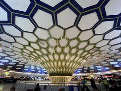 成田を17:10に出発。
乗り継ぎ地アブダビには00:40分着でした。

アブダビ空港にあるこの蜂の巣のような天井が大好きです。