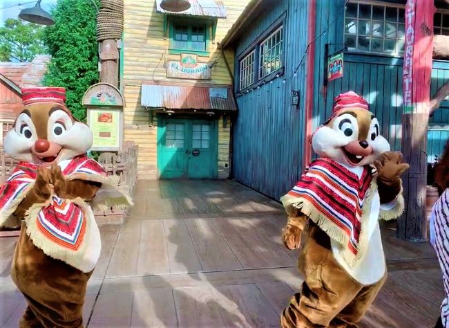 gotoディズニーリゾート Day 1 東京ディズニーリゾート 千葉県 の旅行記 ブログ By Cookieさん フォートラベル