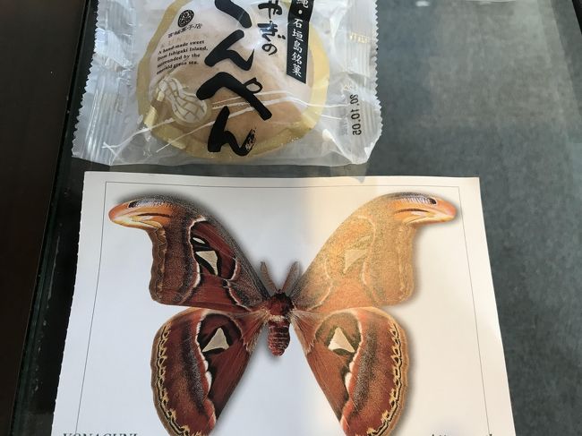 与那国島で出会った生き物たち 与那国島 沖縄県 の旅行記 ブログ By シューワールドさん フォートラベル