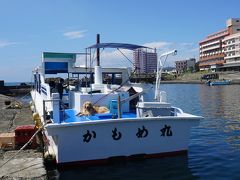 野島崎海底透視船