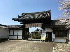 ２＜勧修寺＞
見事な桜を愛でながら、山門に到着。
「勧修寺」は、皇室ゆかりの門跡寺院。
正式名は「かじゅうじ」ですが、「かんじゅじ」「かんしゅうじ」とも呼ばれています。