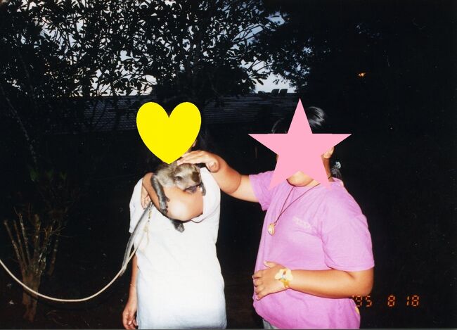 猿が飼われていました。アンガウル島にいるアンガウルモンキーと呼ばれる猿だそうです。