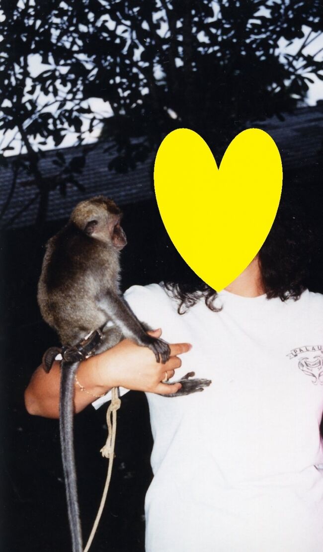 結構人なれしています。