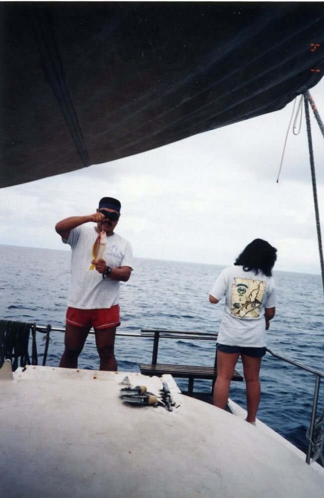 赤いのは金魚（と言われました）。