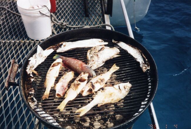 釣った魚はBBQになります。