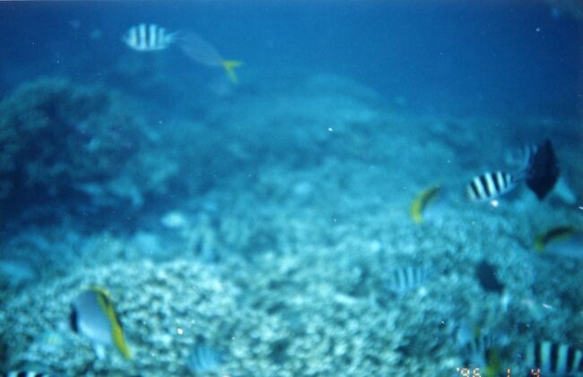 各種取り揃えております。