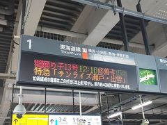 特急踊り子号で修善寺まで。
今回は露天風呂付きのお部屋でゆっくりすることが目的なので
昼ごろにのんびり出発で。

毎度のことながら、娘との二人旅です。
そもそも最初は、自宅から車で行こうかと思っていたのですが
娘がペーパードライバーの為、全道程私ひとりで運転するのがちょっと億劫になり、電車で行く事にしました。