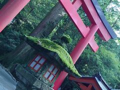 早朝の神社にはまだ車は少ししか止まっておらず、のんびりと駐車場に車を止め、いざ参拝に。