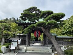 歩き続けてだいぶ疲れてきました。
最後は長谷寺に立ち寄りました。
736年創建。
梅雨の時期に咲くアジサイの風情が素晴らしい景勝地になっています。