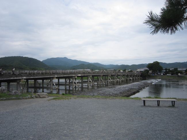 オーバーツーリズム対策を目指した「嵯峨嵐山周遊ガイド」が好評
