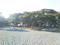 クラブツーリズムで早春伊豆半島と富士山ドライブの旅３日間 沼津 静岡県 の旅行記 ブログ By Ukicoさん フォートラベル