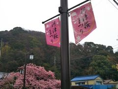 昼食後、河津町へ引き返します。
河津町では「河津桜まつり」開催中で、ここでたっぷり二時間自由時間があるのですが、なにしろ、雨は本降りを通り越して「どしゃ降り」に。

みなさんの「帰りたーい」コールが多い中、バスの運転手さんの休憩時間が必要なので、時間通りのスケジュールを決行しますと。