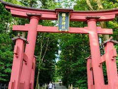 弥彦神社へ。一の鳥居から中に入ります。