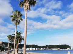 公園の目の前には久里浜海岸があります。
ハワイに行った風の写真が撮れました。