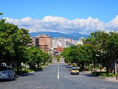 カトリック元町教会を見学したあと、小道を歩き再び二十間坂へ。
二十間坂の一番上から函館市内を見おろす。
街並みと山並み、広い空が見渡せ、とても気持ちが良い！
