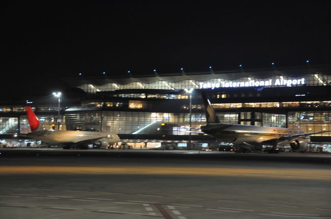 タイ国際航空バンコク行き。<br /><br /><br />ターミナルのボーディングブリッジはすでに足りないようでランプバスで駐機場に向かった。<br /><br />後方には国際線ターミナルビル。