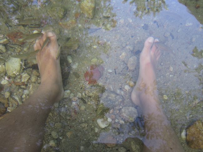 この川には魚が泳いでいる。魚が住めるほど硫黄分は少ないということだろう。水の中に入ると魚が体をつついてくる。<br /><br />どうやら僕の靴擦れを起こした足に反応してくるようで足のむけた皮を魚に全部食べられてしまった。最近タイでよく見かけるフィッシュマッサージというのがあるが、まさにあれだ。<br /><br />バンコクだと１５分で１５０バーツと結構高いがここだと無料だ。<br />しかも天然の魚に全身をつつかれるので気持ちいい。ここでフィッシュマッサージを経験してしまうとバンコクお金を出してやろうとは思わなくなるだろう。