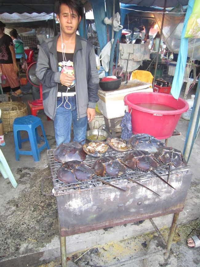　夕方、宿の近くにナイトマーケットがあり、ここで買い食いをすることにした。<br />ここでもカブトガニを発見。