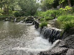 白滝公園は至るところで水が湧いています。
こちらでは、上の段から水が湧き出ています。