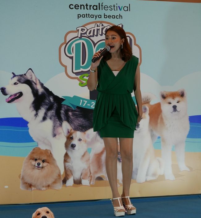 センタン1階でドッグショーが開催されていました。