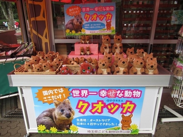 クオッカの笑顔を収穫しに 埼玉県こども動物自然公園 東松山 埼玉県 の旅行記 ブログ By おかかさん フォートラベル クオッカの笑顔を収穫しに 埼玉県こども動物自然公園 東松山 埼玉県 の旅行記 ブログ By おかかさん フォートラベル