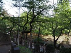 音無親水公園